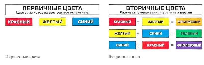 ЦВЕТА